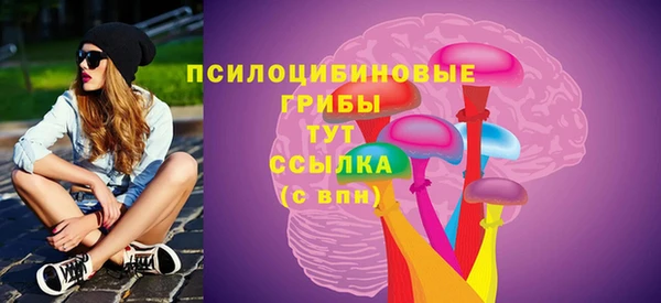 дживик Белокуриха