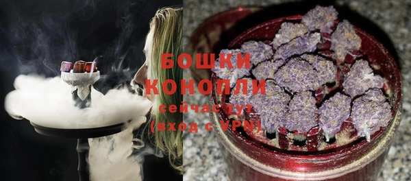 дживик Белокуриха