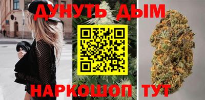 сатива Балаково